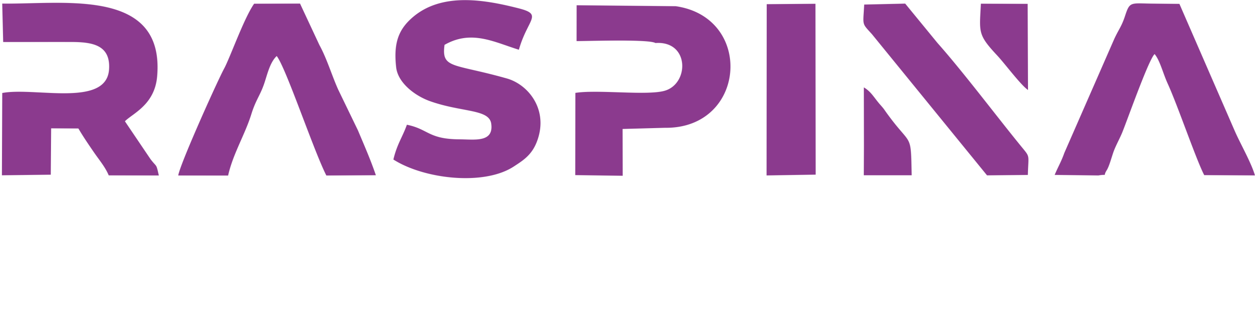 شرکت غرفه سازی راسپینا